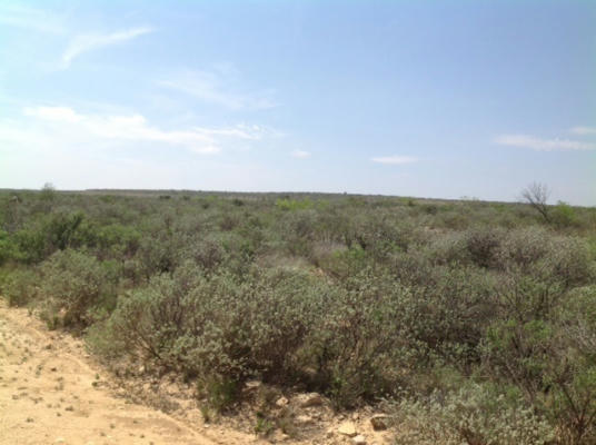 HERITAGE CANYON RANCH (PHASE I), TRACT 7, DRYDEN, TX 78851, photo 2 of 15