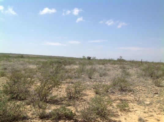 HERITAGE CANYON RANCH (PHASE I), TRACT 7, DRYDEN, TX 78851, photo 3 of 15