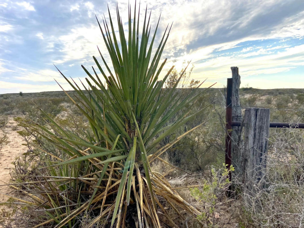 000 BLUE SKY, COMSTOCK, TX 78837, photo 1