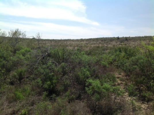 HERITAGE CANYON RANCH (PHASE I), TRACT 7, DRYDEN, TX 78851 - Image 1